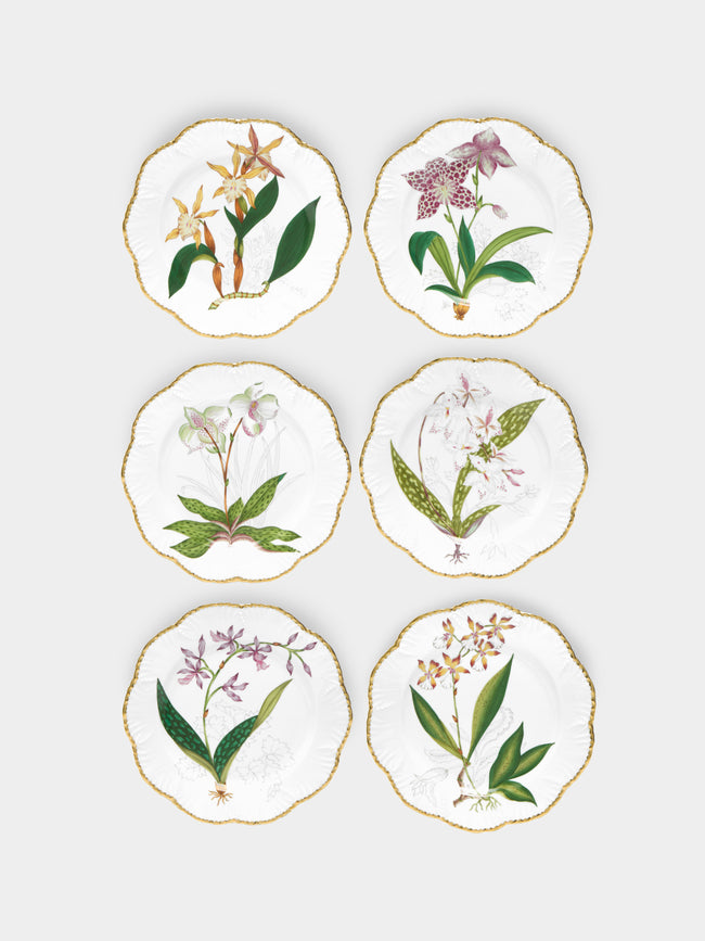 Pinto Paris - Histoires d'Orchidées Hand-Painted Porcelain Dinner Plates (Set of 6) -  - ABASK - 