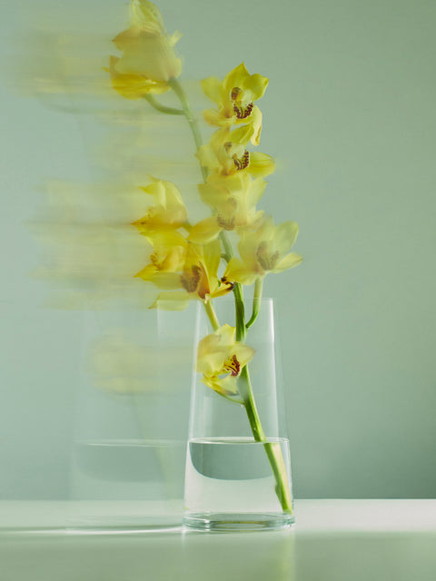 Deborah Ehrlich - Hand-Blown Crystal Queen Anne's Lace Vase -  - ABASK