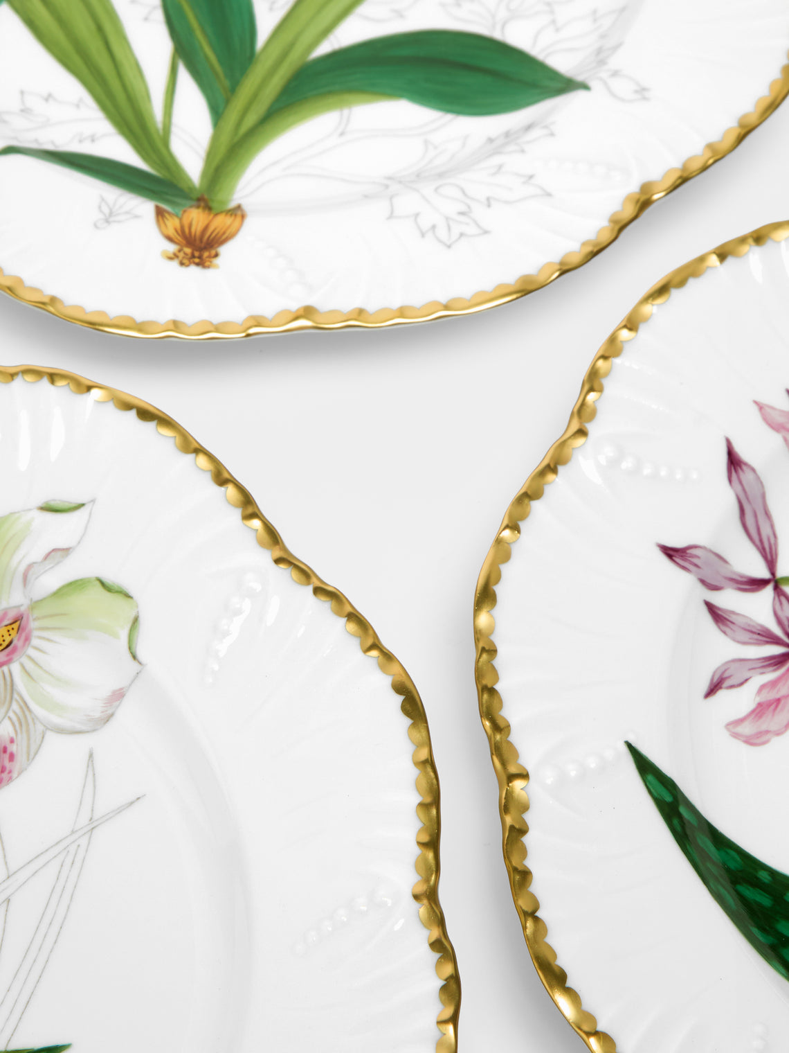 Pinto Paris - Histoires d'Orchidées Hand-Painted Dessert Plates (Set of 6) -  - ABASK