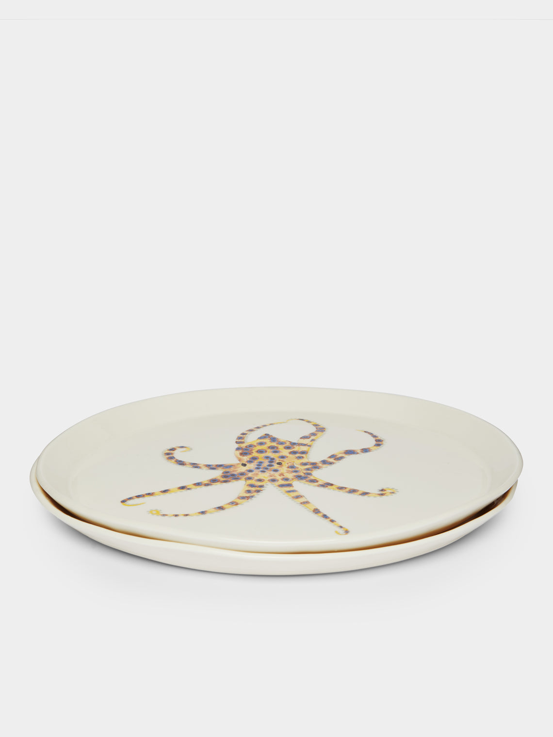 Casa Adams - Mollusc Hand-Painted Porcelain Dinner Plates (Set of 2) -  - ABASK
