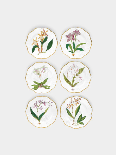 Pinto Paris - Histoires d'Orchidées Hand-Painted Dessert Plates (Set of 6) -  - ABASK - 