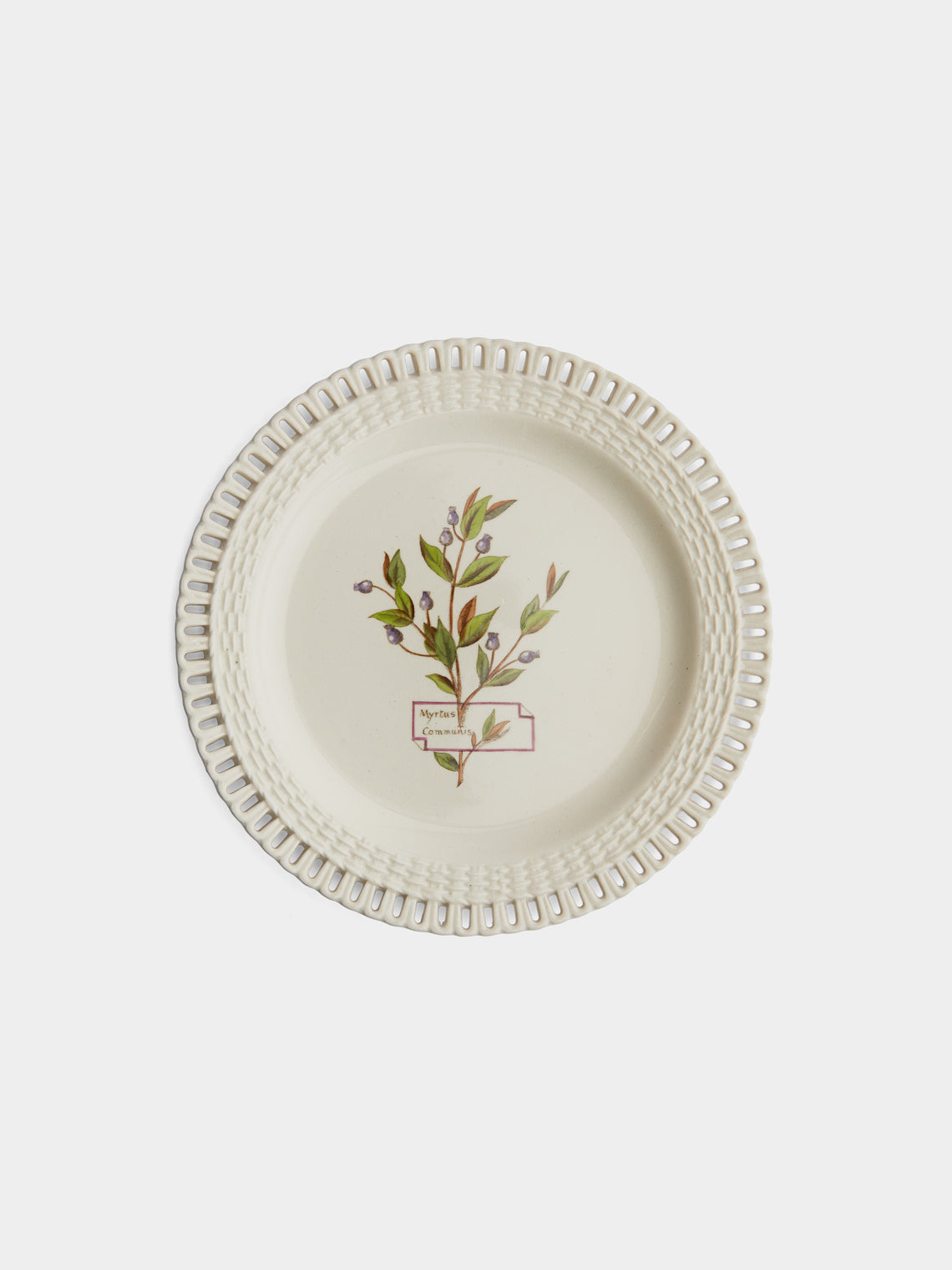 Antique and Vintage - 1860s Minton Creamware Botanical Service (Set of 15) - Cream - ABASK