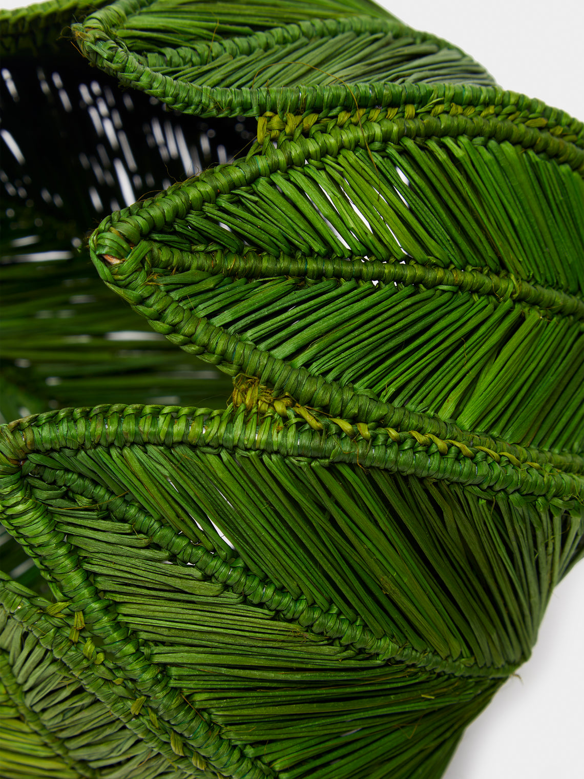 Artesanías del Atlántico - Handwoven Stromanthe Palm Vase - Green - ABASK